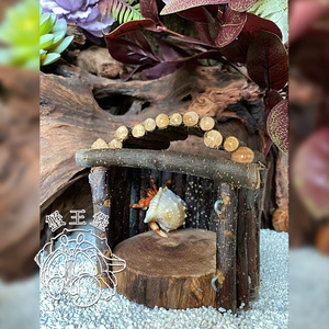 寄居蟹躲避 小屋 小房子 攀爬 苹果木造景系列