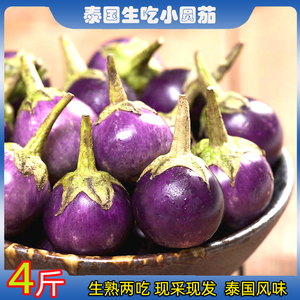 泰国生吃小圆茄西双版纳傣家野茄咖喱茄迷你紫色蛙蛋茄紫脆茄包邮
