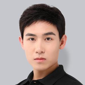 男士真发假发短发中老年假发男爸爸帅气逼真发型真人发丝头套223人