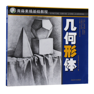 素描基础·几何形体 青少年儿童绘画艺术启蒙 从零开始学素描启蒙 9