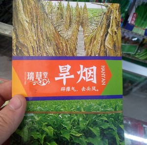 东北哈尔滨市亚布力旱烟种子,100一斤的30一斤的,劲大劲小口味