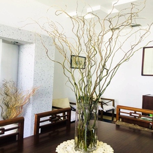 龙柳鲜枝 水养雪柳干枝水培雪柳 喷雪花 绣线菊 珍珠梅真花束插花