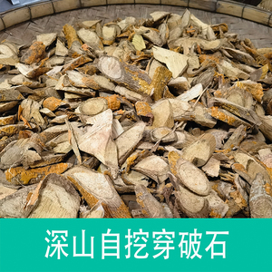 野生穿破石中药材构棘根小柘树根九层皮山荔枝中草药新鲜晒干500g