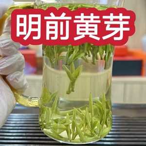 霍山黄芽一级2024新茶安徽六安茶叶250g半斤罐装明前春茶浓香耐泡