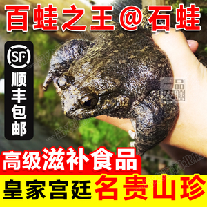 石蛙鲜活泉养山珍青杠石鳞石蛤棘胸蛙肉石冻妇孺月子补品500g包邮