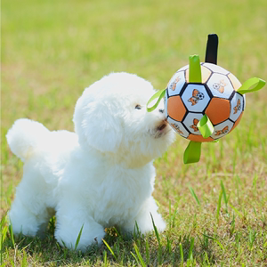 狗狗玩具球足球耐咬自嗨解闷宠物小狗幼犬磨牙棒毛绒泰迪比熊训犬