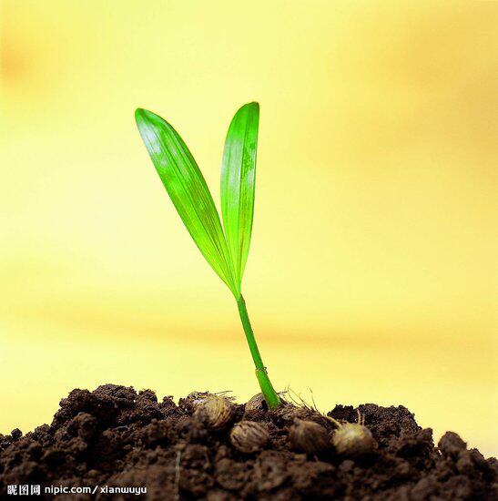 山西美特好超市购物卡礼品卡多种面值 美都汇妈咪宝贝通用