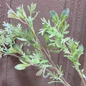 仿真植物兔耳叶毛毛叶塑料皂角叶绿色植物叶子假树枝工程装饰造型