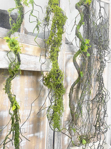 仿真树藤枯藤藤条假花装饰树枝干枝青苔苔藓室内藤蔓植物壁挂绿植