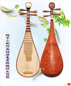 丁越牌〗琵琶乐器专业演奏考级琵琶d750琵琶丁越制作酸枝木琵琶
