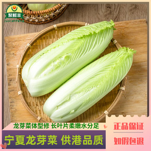 一件多省包邮宁夏供港蔬菜龙芽菜龙牙菜日本绍菜长白菜清甜爽脆