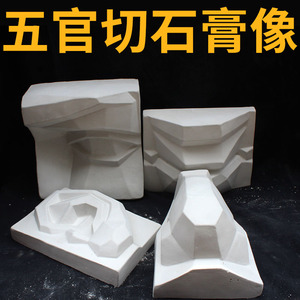 五官切面 石膏像人物头像美术教具石膏头像素描石膏静物模型摆件
