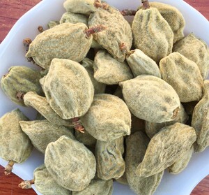 碧桃干500g新货瘪桃干中药材 桃奴 阴桃子 阴桃干 毛桃 桃枭 枭景