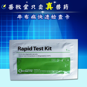 牛布病检测卡包邮宠物牛布氏杆菌病抗体试剂盒牛布氏杆菌试纸条