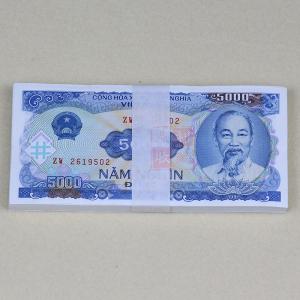 全新真币越南盾5000盾100张 整刀纸币亚洲外国钱币收藏外币货币