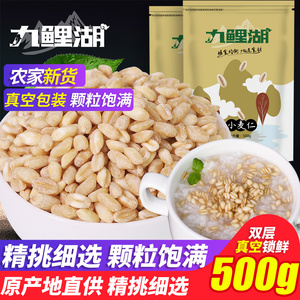 九鲤湖 麦仁500g/袋 农家去皮小麦仁大麦米粗粮五谷杂粮粥