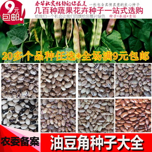 40郑州伟达工程材料有限公司淘宝新三叶紫花油豆角种子东北开锅烂架