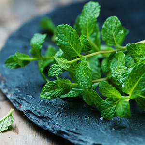 傣族香料凉拌煮汤新鲜现摘食用薄荷余香配料清凉云南特色香料点缀