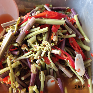 云南德宏特产野生新鲜蕨菜龙爪菜泡菜酱菜腌菜凉拌菜500克真空装