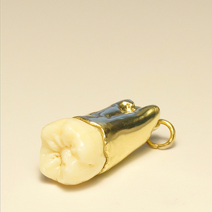 laughnight| 智齿牙齿饰品定制原创设计牙齿项链情侣礼物收藏纪念