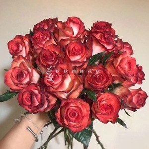 胭脂扣丨云南昆明基地直发玫家用水养鲜切花 秋秋的鲜花店