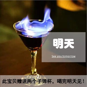 微醺无醉明天见今夜不回家进口洋酒高度鸡尾酒一杯倒调酒组合赠杯