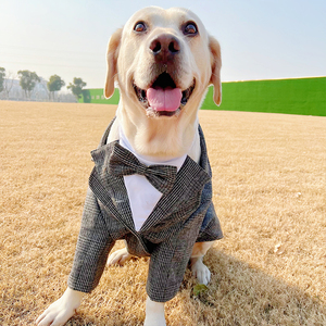 752人付款天猫西装礼服狗狗绅士婚礼西服宠物泰迪结婚婚纱夏猫咪帅气
