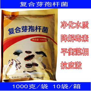 水产养殖鱼虾渔药复合芽孢杆菌枯草地衣纳豆菌净化水质红水黑臭水