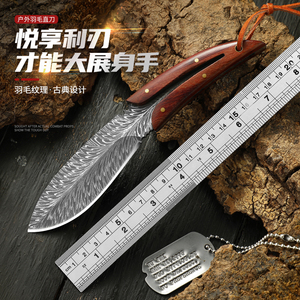 高颜值水果刀随身便携吃肉小刀户外刀具羽毛小刀锋利高硬度带刀套