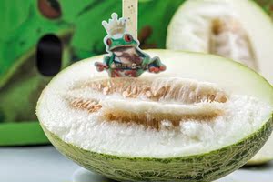 【果真不错】青蛙王子蜜瓜 哈密瓜的外皮 网纹瓜的软糯 集一身