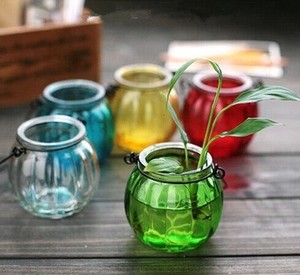 包邮8彩小清新彩色玻璃南瓜吊瓶水培瓶植物玻璃花盆阳台壁挂花瓶