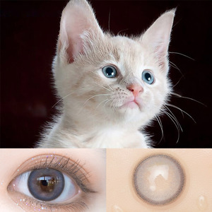 奶包蓝色美瞳日抛猫猫眼小直径14混血半年抛年抛月抛隐形康视达tn