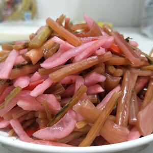 淹制酸脆杆带叶小酸菜白萝卜四川泡菜老坛酸水开胃菜500克包邮