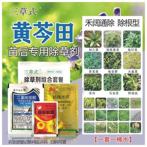 黄芩苗后除草剂