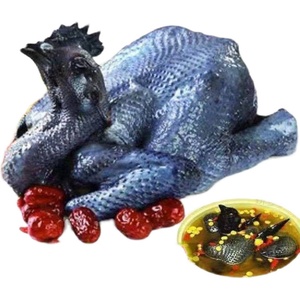 乌鸡生鲜大乌鸡新鲜乌鸡整只乌鸡肉冷冻冰冻生乌鸡活体现杀冰冻