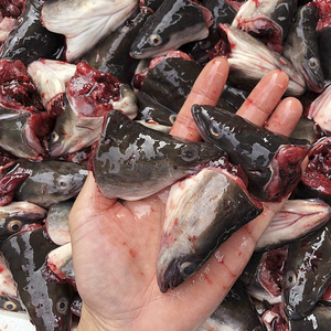 包邮3斤潮汕美食小吃海鲜农家自渔白鳝头 河鳗头新鲜鳗鱼头菜脯