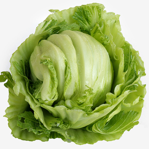 福建芥菜球包心新鲜芥菜潮汕咸菜可腌制酸菜广东大芥菜球5斤包邮