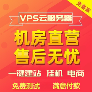 vps远程云服务器租用网站轻量etsy国内云主机宝塔电商cn2亚马逊