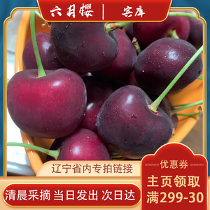 【辽宁省内专拍】宾库大连七顶山黑珍珠大樱桃 ,甜脆多汁