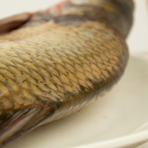 260179l淘宝鲜活水产武昌鱼鳊鱼新鲜野生500g活鱼现杀真空包装鲜活