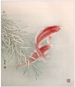 鲤鱼红色的画