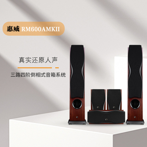 Hivi/惠威RM600AMKII落地家庭影院音响套装5.0家用环绕旗舰音箱