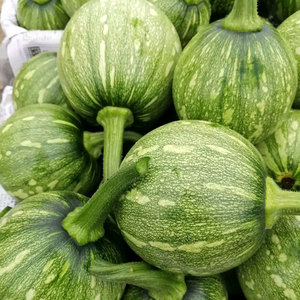 早熟嫩南瓜种子一串铃小南瓜种籽花皮青瓜四川春季农家田园蔬菜孑