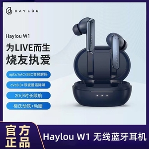 HAYLOU W1无线蓝牙耳机动铁圈入耳式ins适用苹果华为小米男女学生