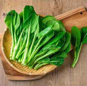 菜心新鲜广东菜心菜苗菜杆菜苔小青菜迟菜心宁夏供港品质一斤包邮