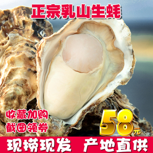 现捞海蛎子5斤鲜活生蚝刺身特级新鲜带壳威海小生蚝海鲜