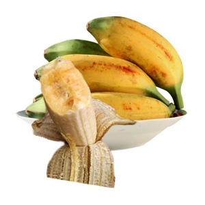广东省现摘青大蕉芭蕉新鲜水果无催熟非香蕉苹果蕉粉蕉5斤10斤生