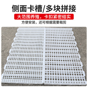 养鸡场粪板鸡鸭漏鸽子鸡舍网格鸡用隔漏屎脚垫鹅接粪粪板塑料家禽