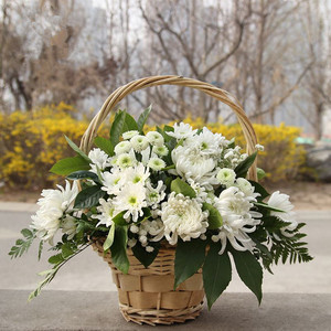 济南同城鲜花店速递 白事祭祀追悼清明节小花束扫墓上坟黄白菊花