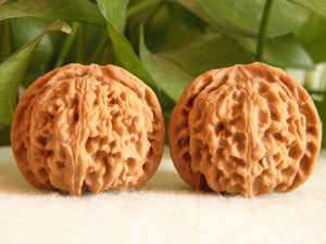 文玩把玩手玩40苹果园狮子头矮桩闷尖包浆上色快小尺寸小手精品